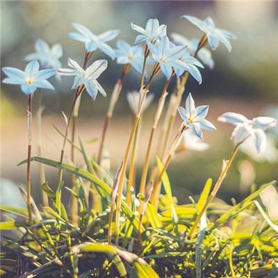 娱乐宝官网下载手机版